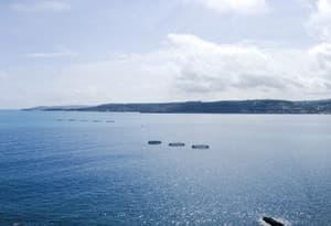 Malta (isola)