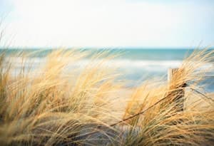 Costa del Mar Baltico del Meclemburgo