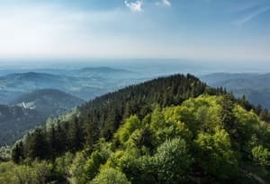 Foresta Nera settentrionale