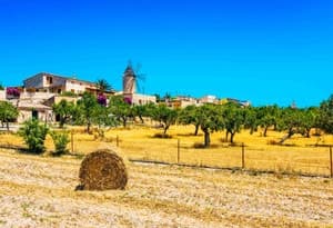 Centro dell'isola di Maiorca