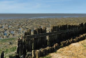 Costa del Wadden