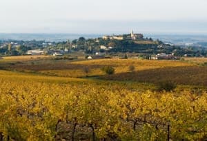 Vaucluse-Mont Ventoux