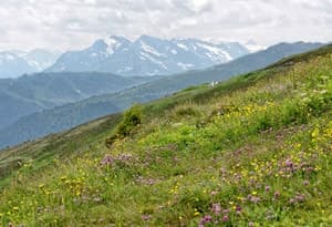 Prima regione turistica nella Zillertal