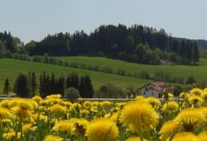 Comunità di Haidel