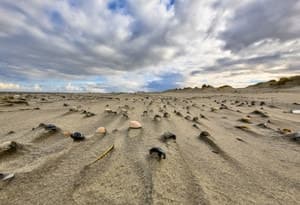 Isole Wadden